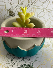 Load image into Gallery viewer, Lotus planter pot