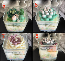 Load image into Gallery viewer, Succulent Candles