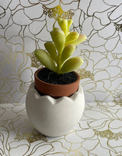 Load image into Gallery viewer, Egg cement pot