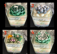 Load image into Gallery viewer, Succulent Candles