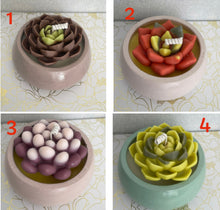Load image into Gallery viewer, Succulent Soy Candles