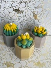 Load image into Gallery viewer, Succulent candles