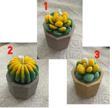 Load image into Gallery viewer, Succulent candles