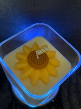Load image into Gallery viewer, Sunflower Soy Candles